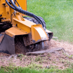 stump removal Keilor