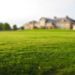 Synthetic Grass