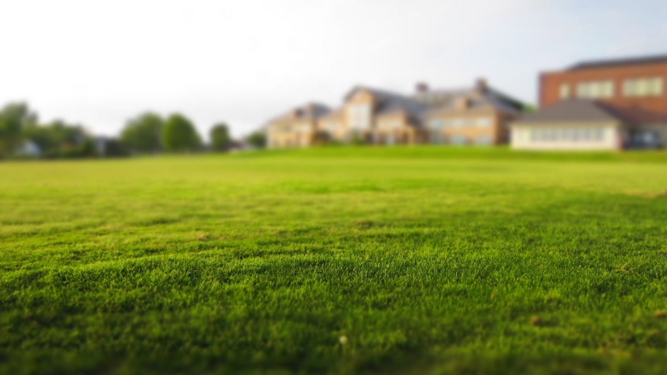 Synthetic Grass
