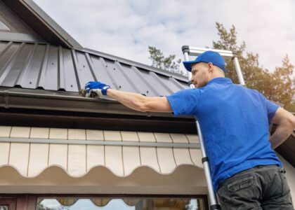 roof gutter cleaning Melbourne