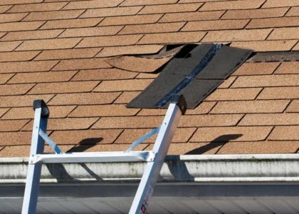 roof repairs Sunshine
