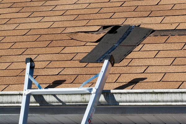 roof repairs Sunshine